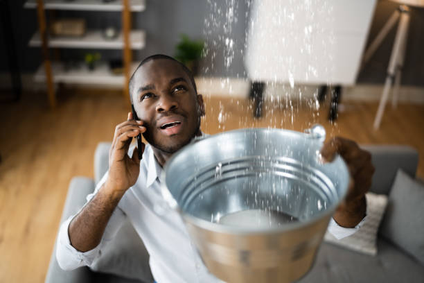Best Professional water damage repair  in Edgewood, NM