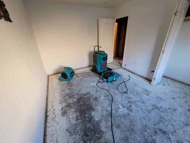 Best Commercial water damage restoration  in Edgewood, NM
