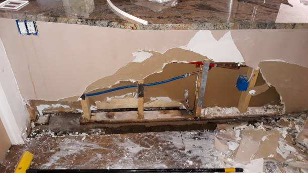 Best Water damage contractors near me  in Edgewood, NM
