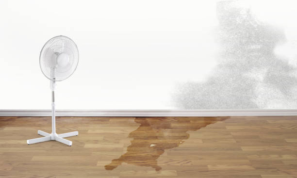 Best Fire Damage Restoration  in Edgewood, NM