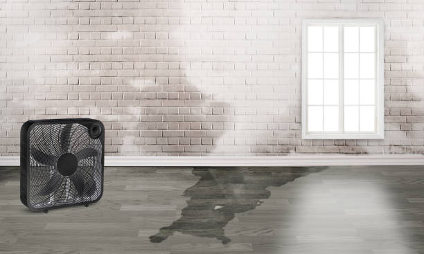 24/7 water damage repair in Edgewood, NM