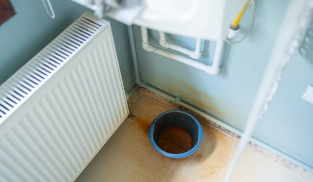 Best Sewage cleanup and water damage restoration  in Edgewood, NM