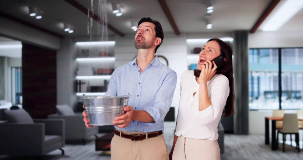 Best Ceiling water damage repair  in Edgewood, NM